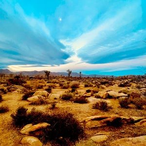 Offers always welcome! Make me an offer!